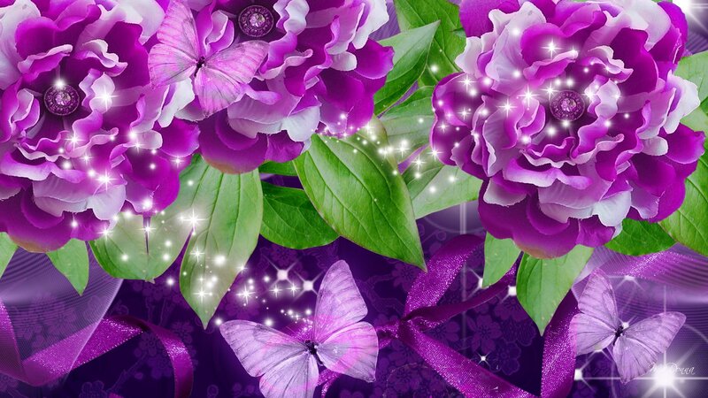 Purple Peonies with Butterflies