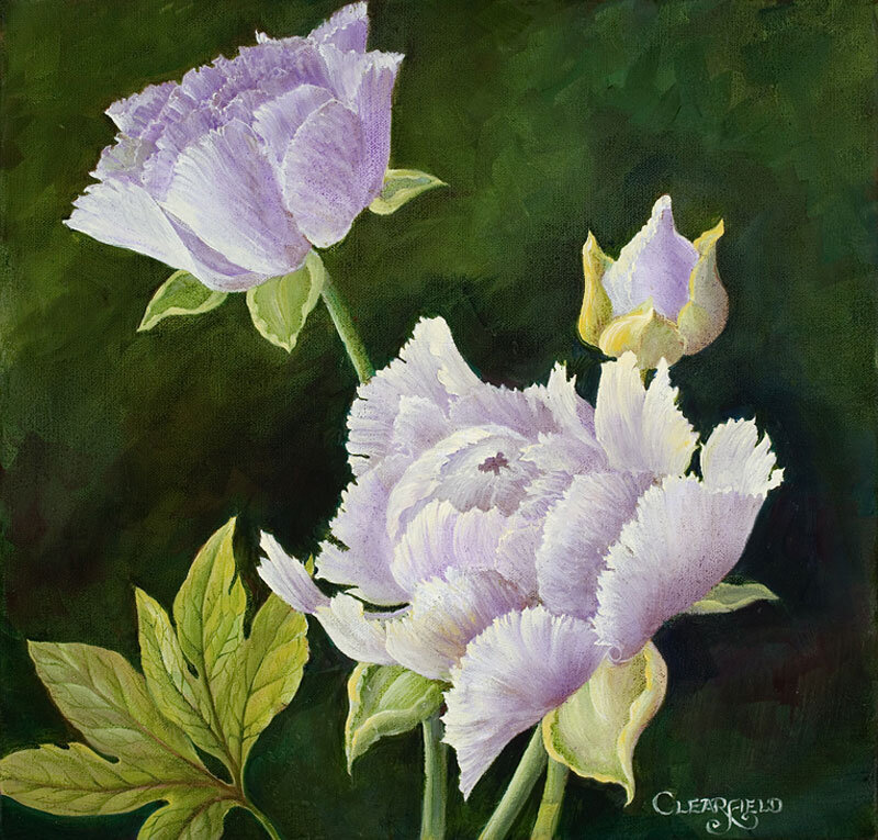Purple Peony Flowers — Serene