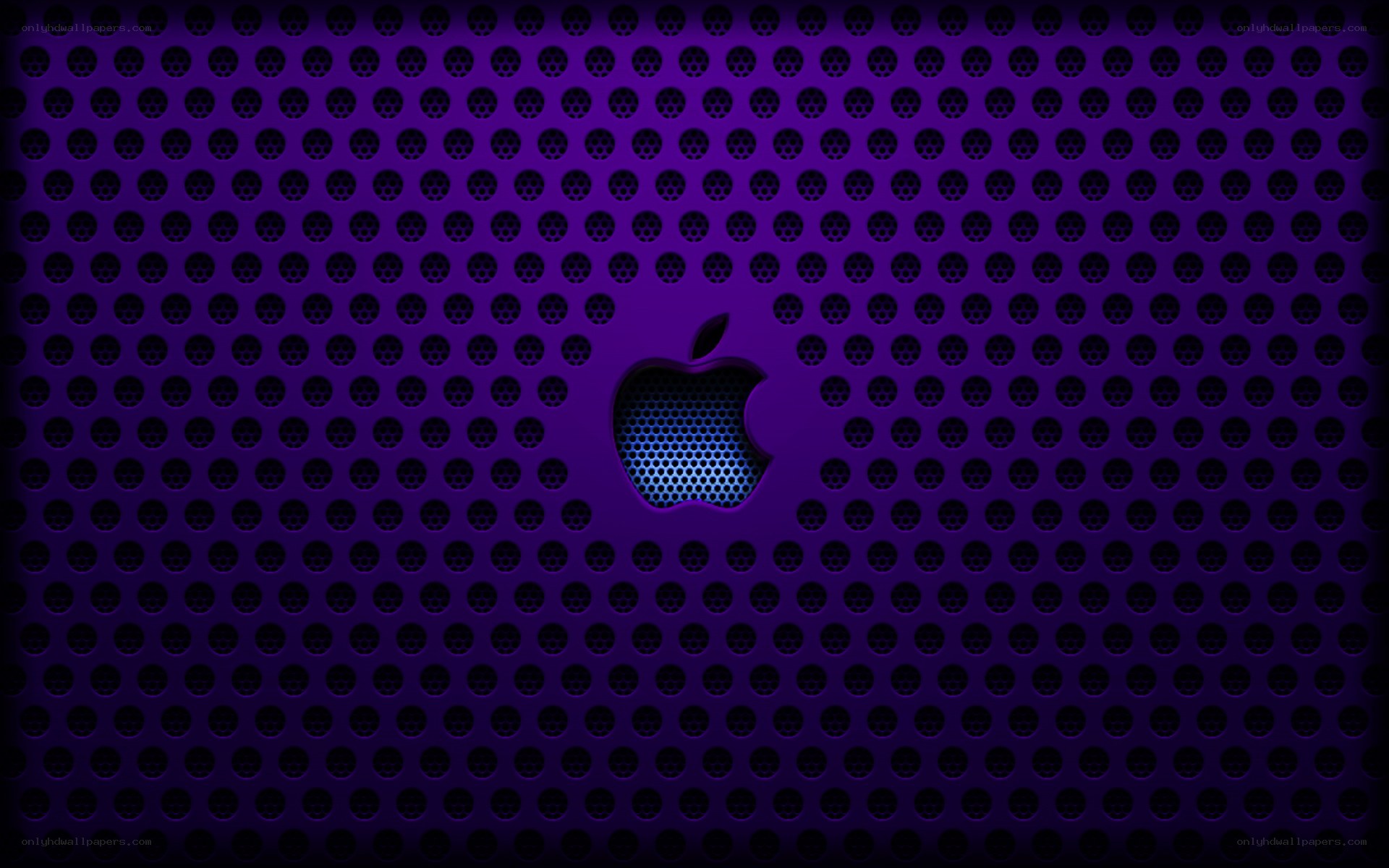 purple perforated apple logo