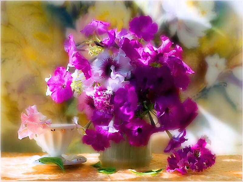 Purple Petunia Bouquet — Serene, Afternoon
