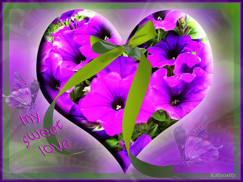 Purple Petunias in Heart