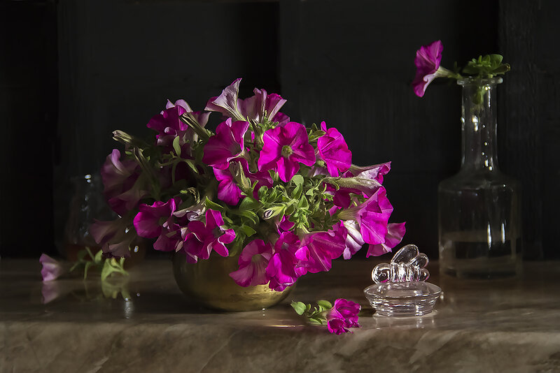 Purple Petunias in Vase — Dramatic