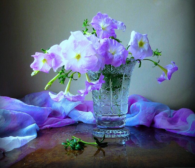 Purple Petunias in Vase — Serene