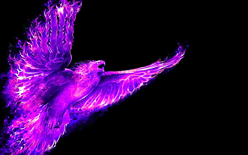 purple phoenix in flight