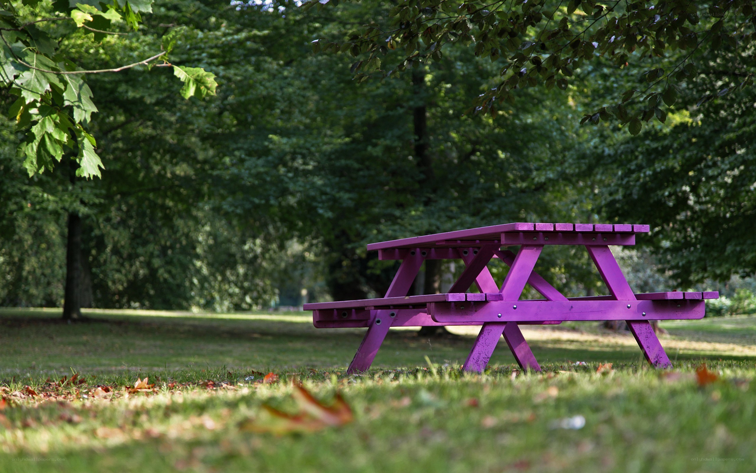 Purple picnic table in park