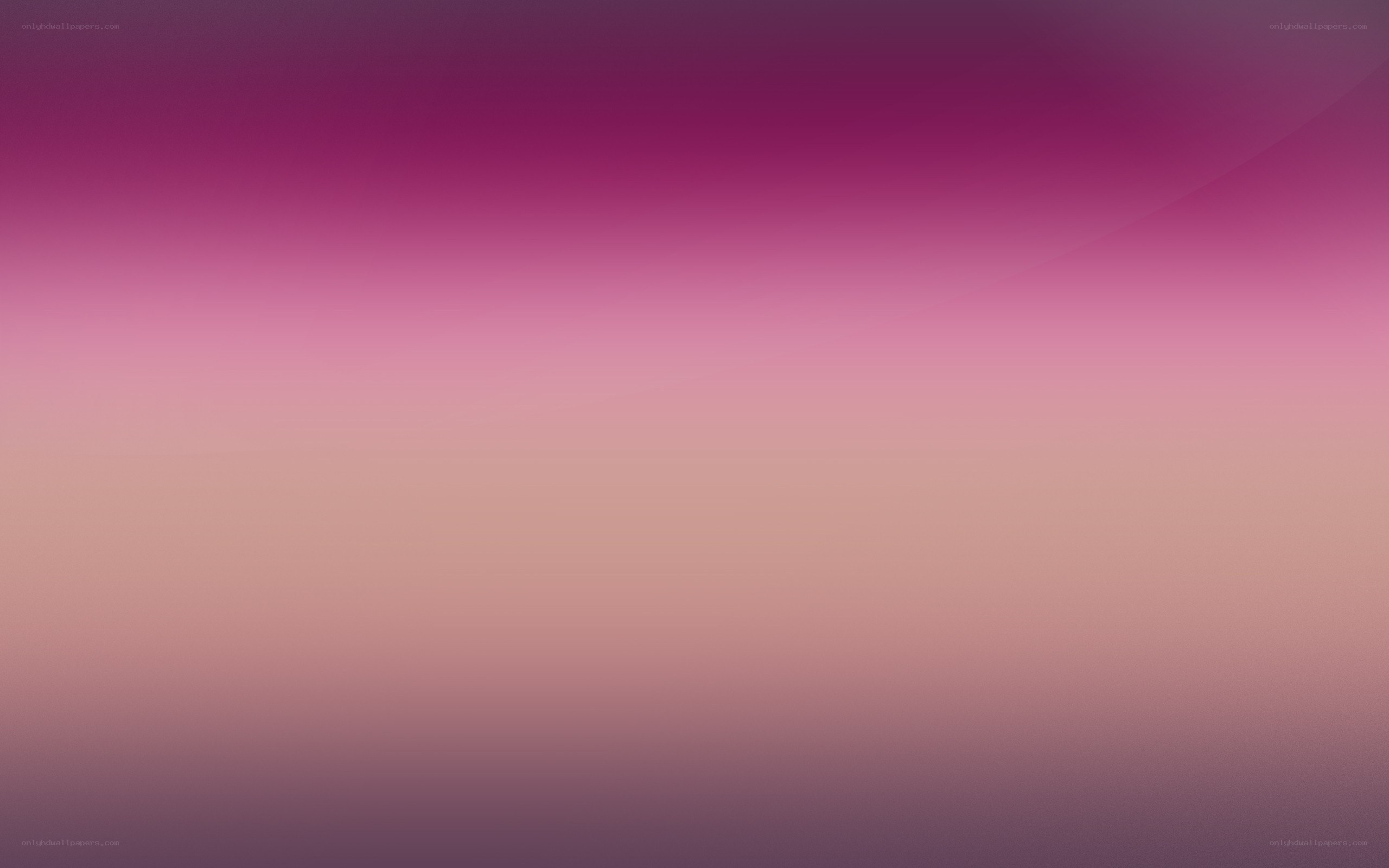 purple pink gradient