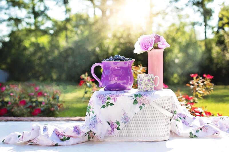Purple Pitcher with Blueberries — Serene, Afternoon