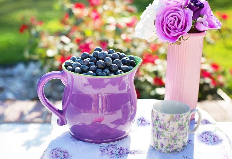 Purple Pitcher with Blueberries — Serene