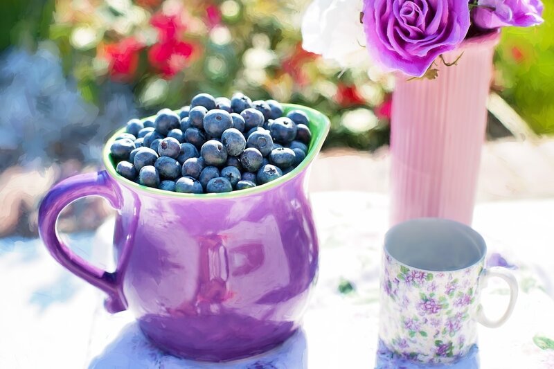 Purple Pitcher with Blueberries