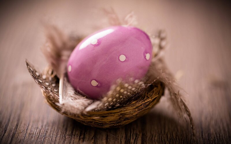 Purple Polka-dot Egg — Calm