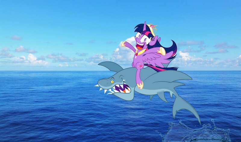 Purple Pony on Shark