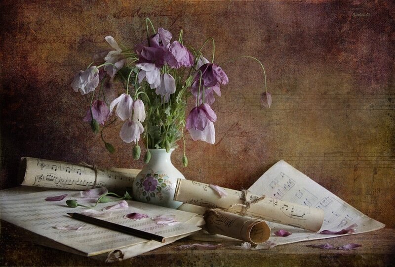 Purple Poppies in Vase