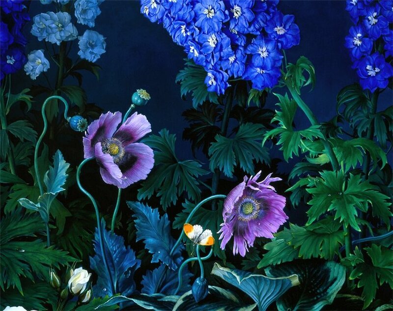 Purple Poppy Flowers — Blue