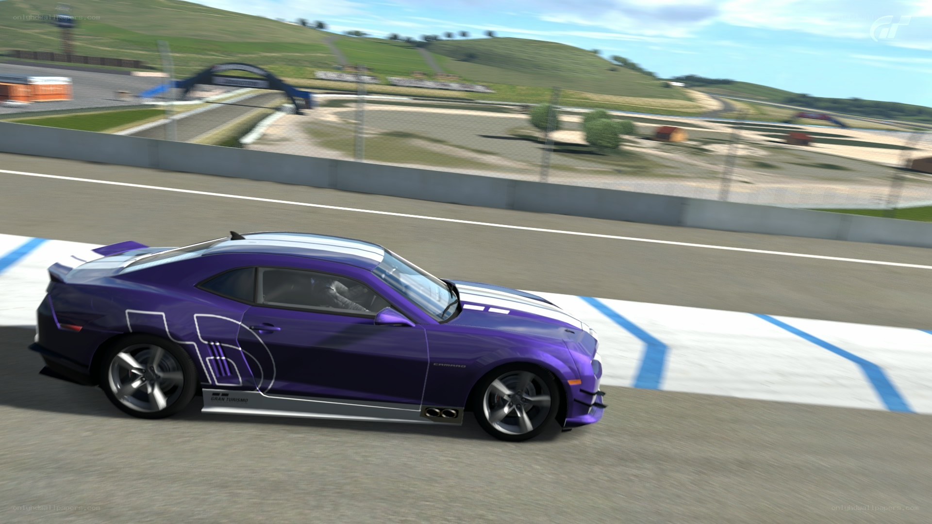 purple race car on track