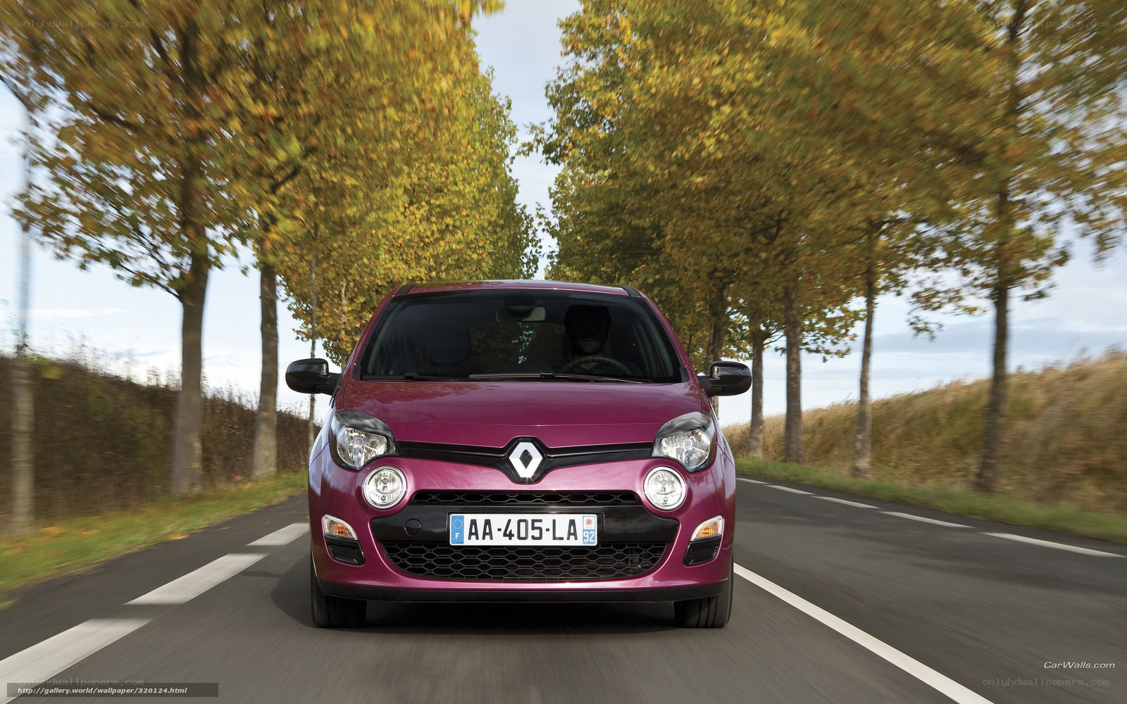 purple renault on autumn road