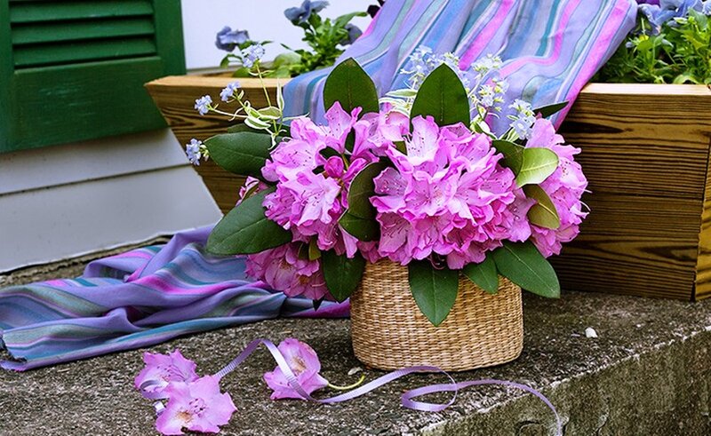 Purple Rhododendron Bouquet