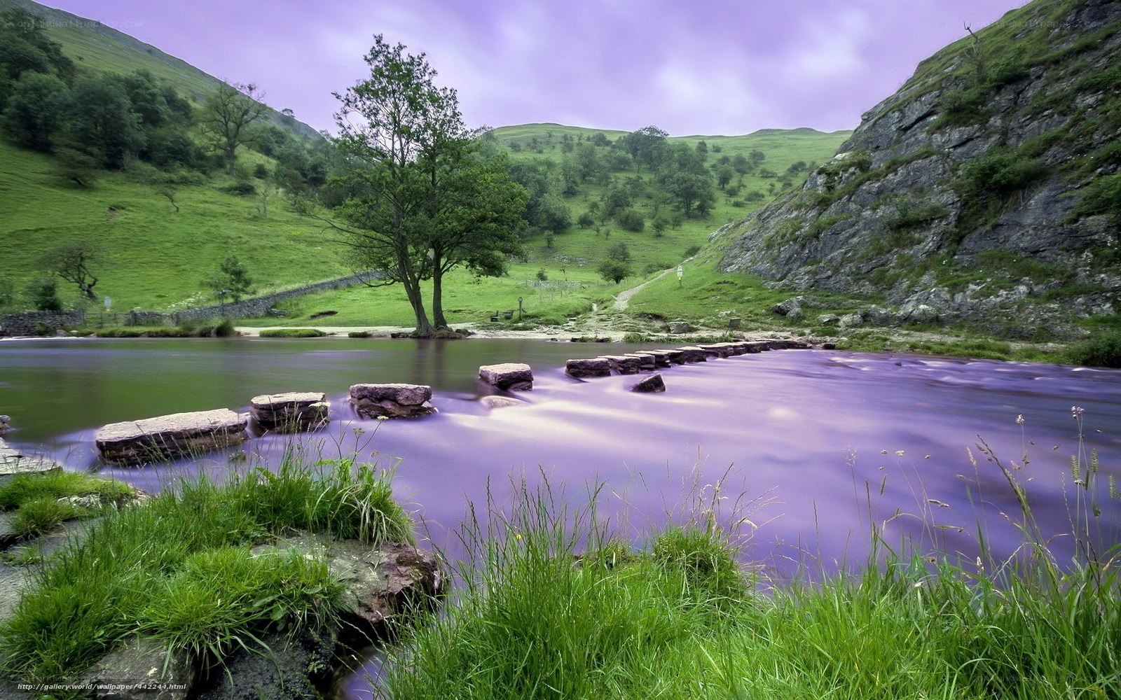 Purple river in green valley