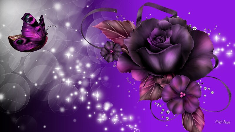 Purple Rose and Butterfly — Dreamy