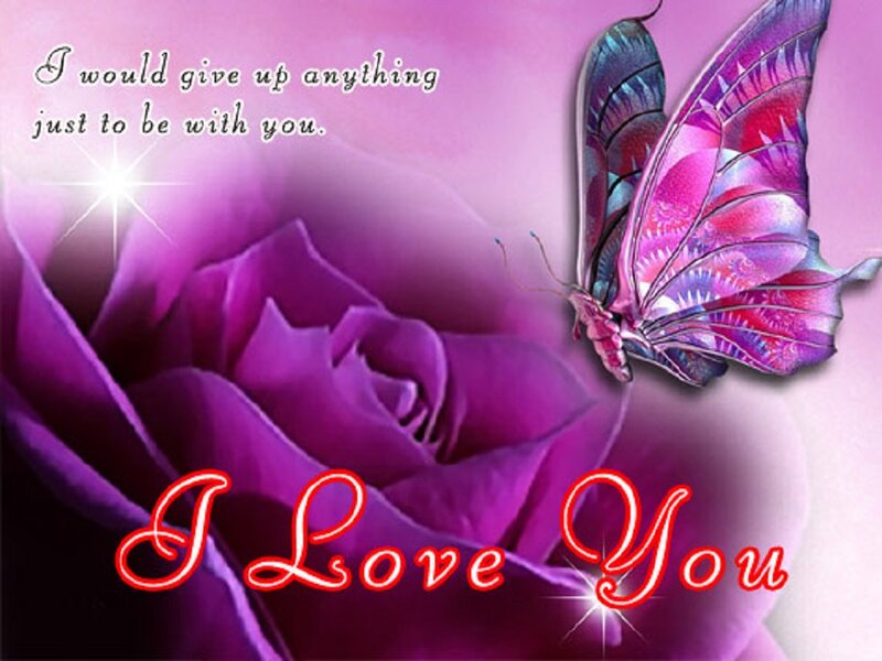 Purple Rose and Butterfly — Romantic