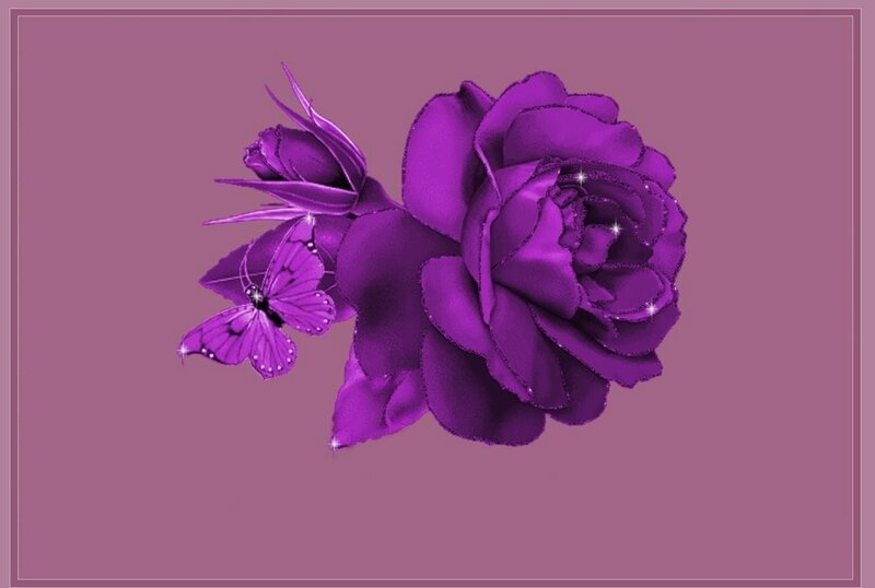 Purple Rose and Butterfly — Serene