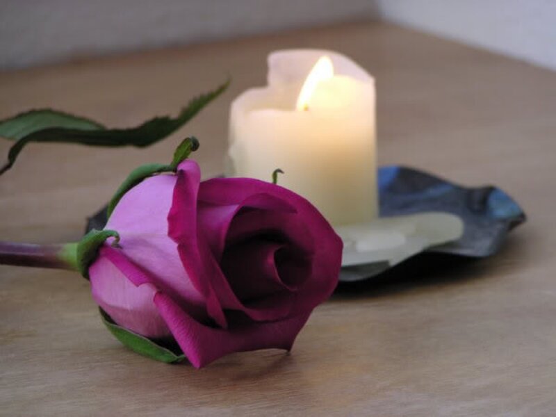 Purple Rose and Candle
