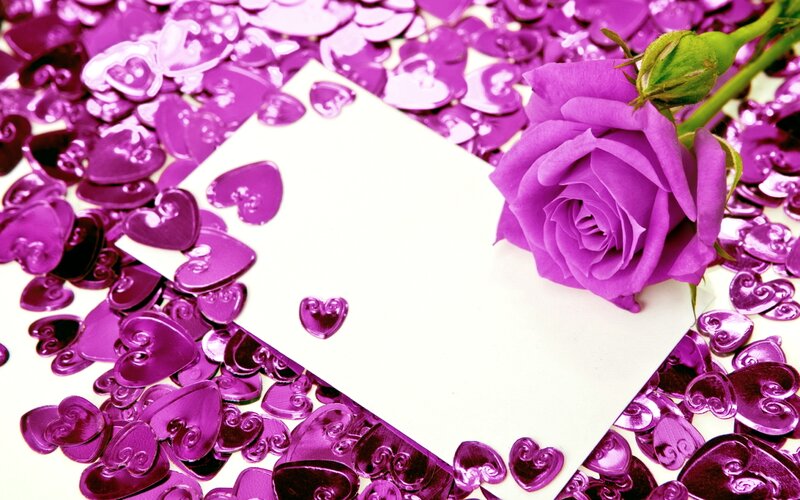 Purple Rose and Confetti