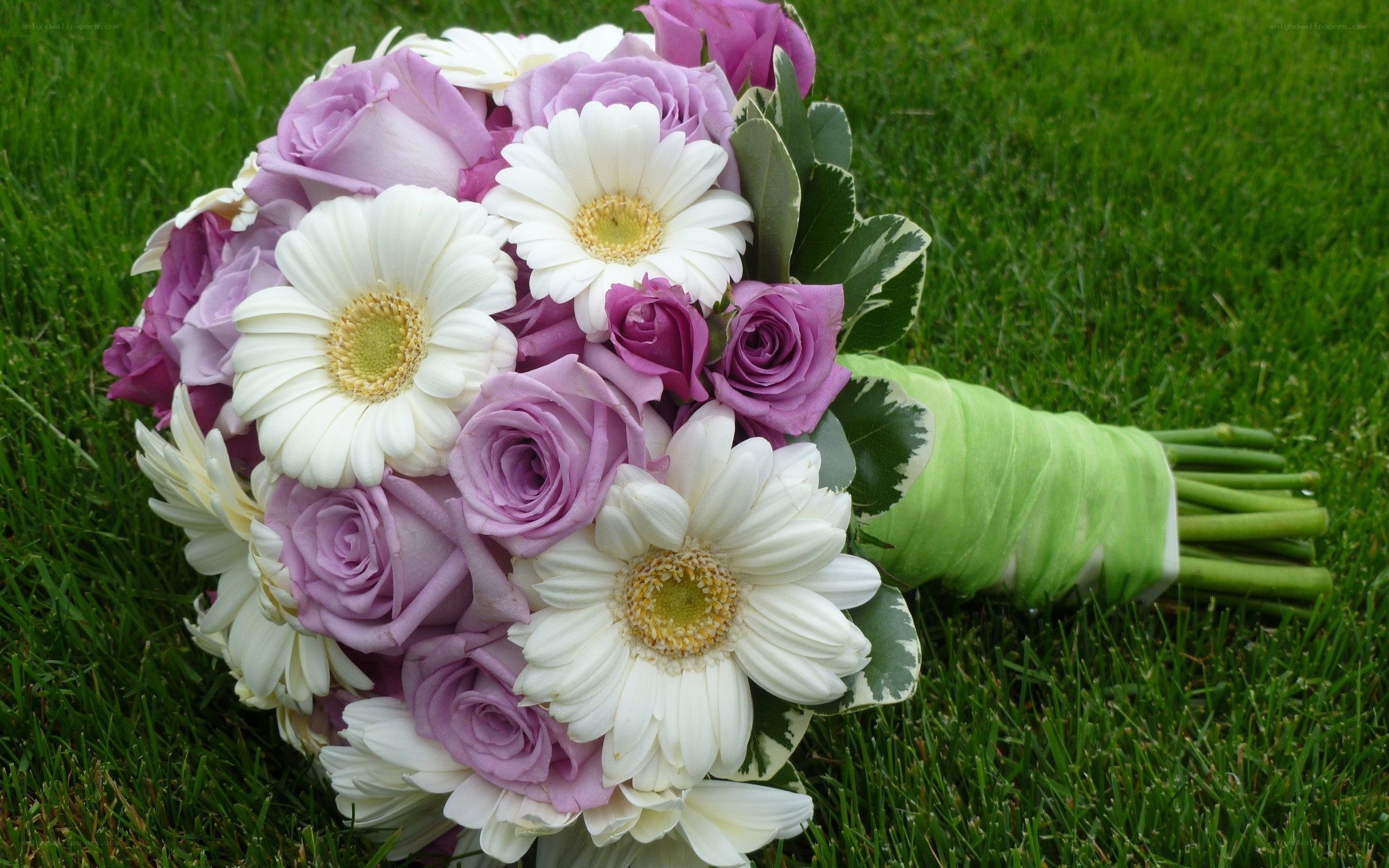 Purple rose and daisy bouquet