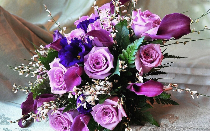 Purple Rose Bouquet — Calm, Photograph, Calla Lilies, Greenery, Small White Flowers, Fabric