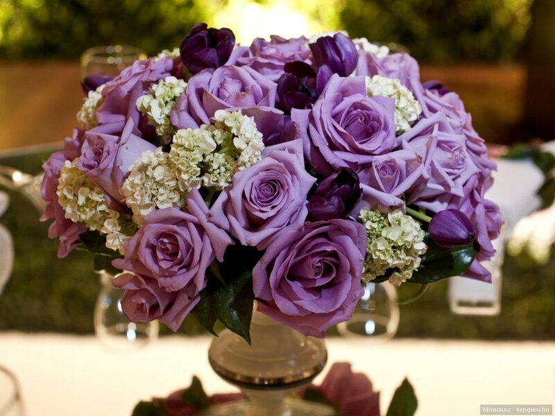 Purple Rose Bouquet — Elegant, Afternoon