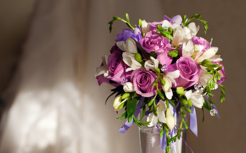 Purple Rose Bouquet — Serene, Afternoon, Photograph
