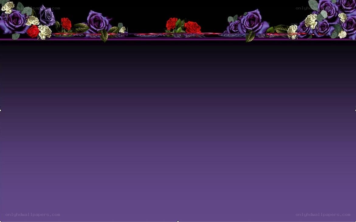 purple rose floral border