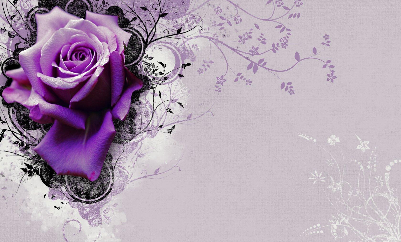 purple rose floral design
