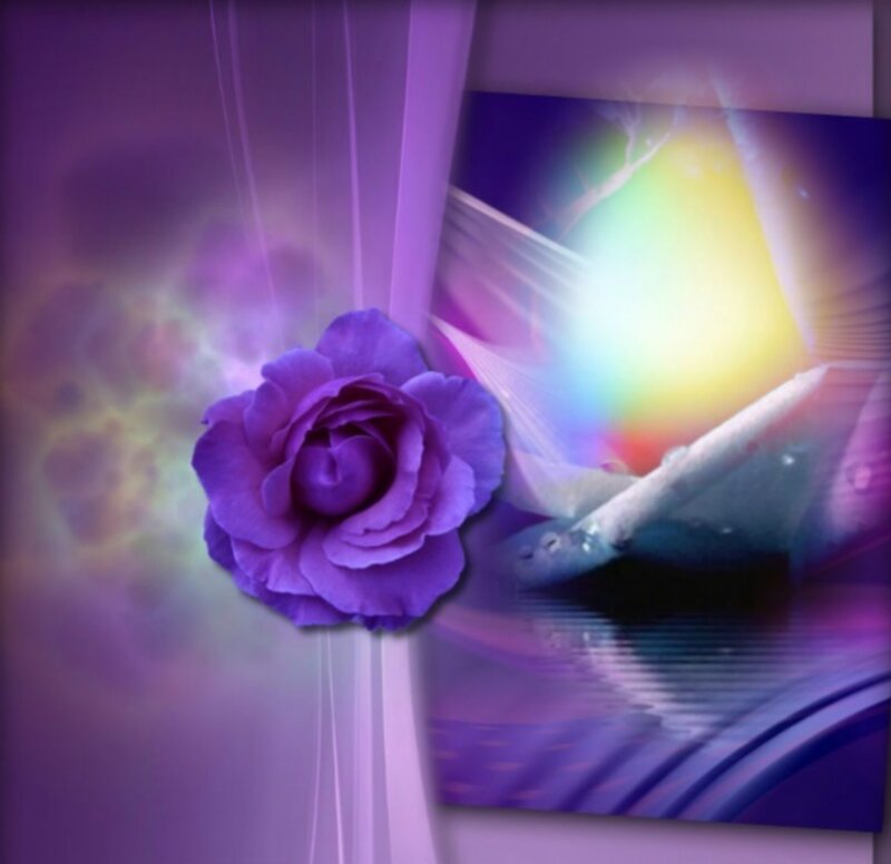 Purple Rose Flower — Dreamy, Digital Art, Rainbow Light