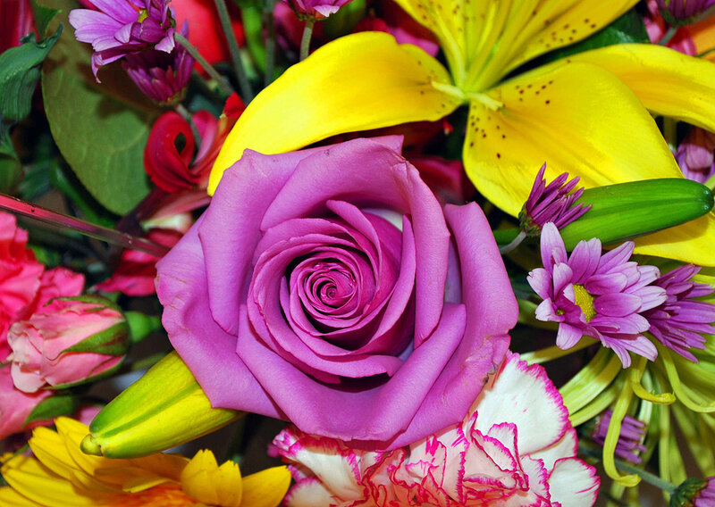 Purple Rose in Bouquet