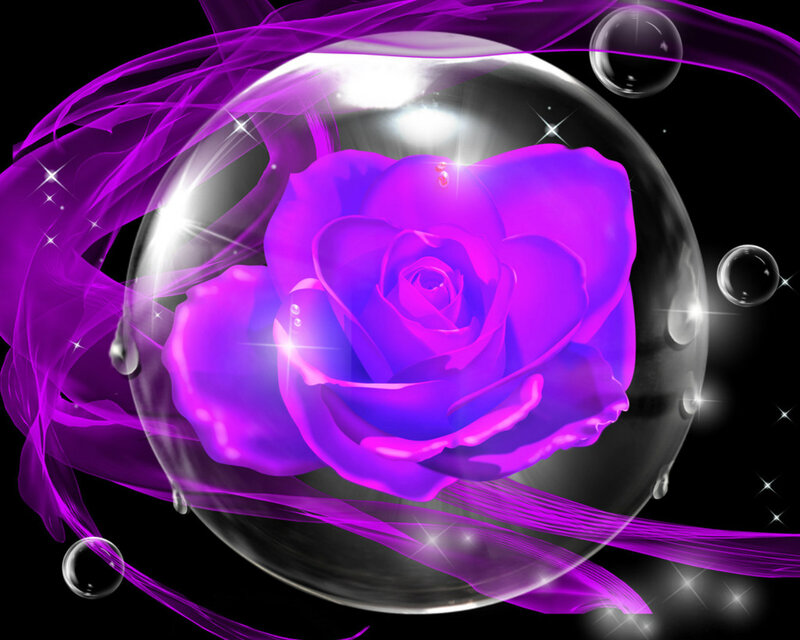 Purple Rose in Bubble