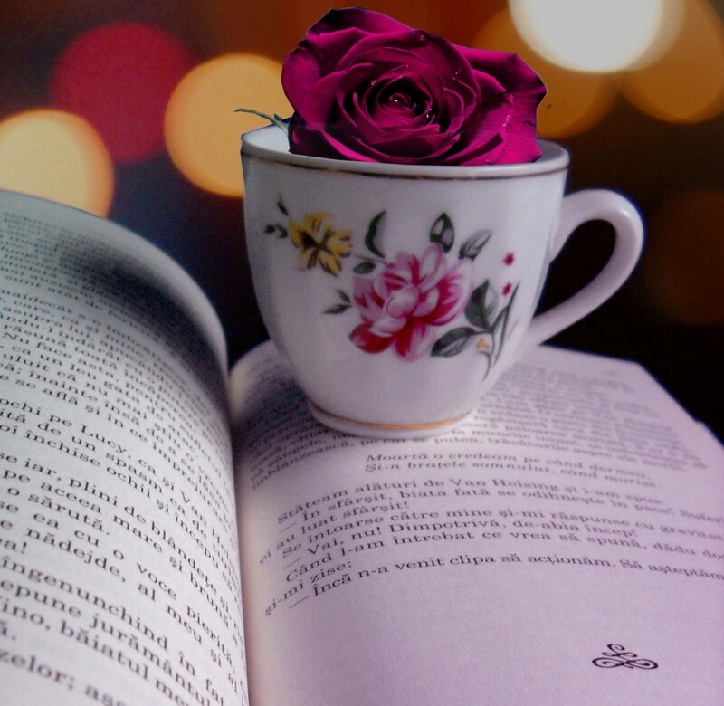 Purple Rose in Cup
