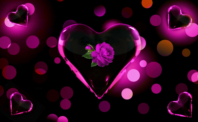 Purple Rose in Heart — Romantic, Night