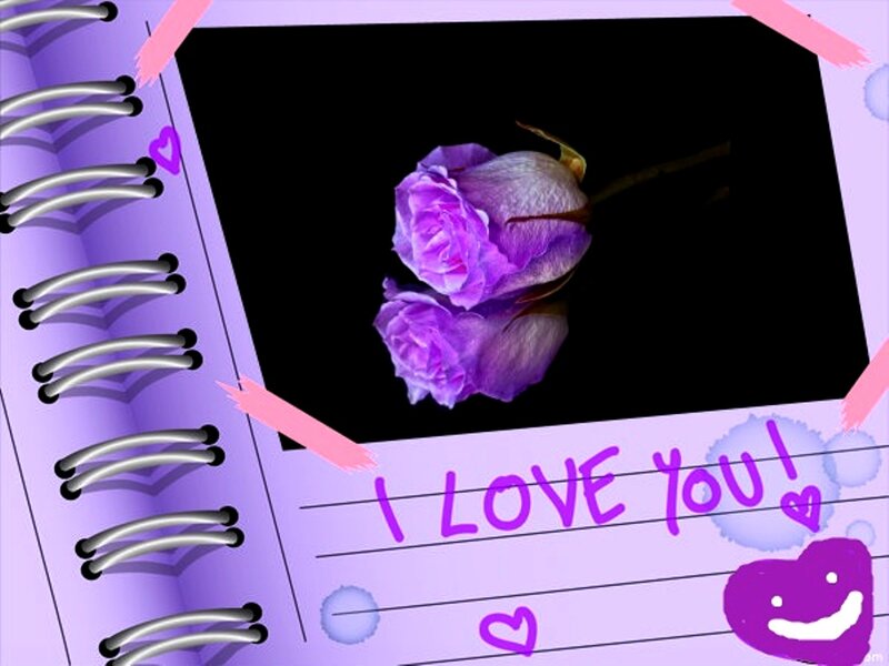 Purple Rose in Notebook