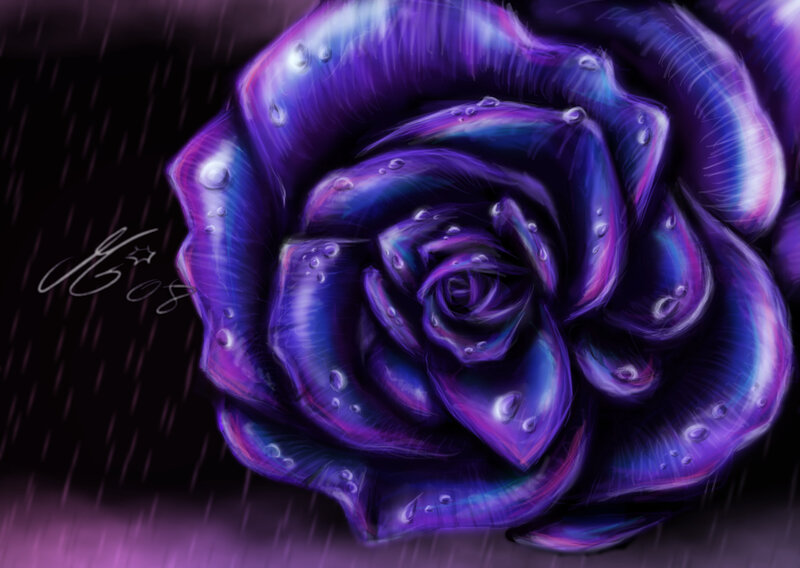 Purple Rose in Rain — Dramatic
