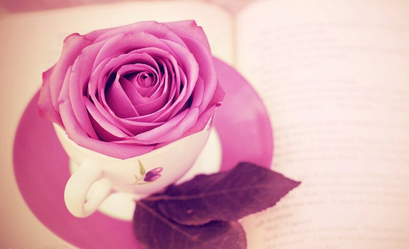 Purple Rose in Teacup