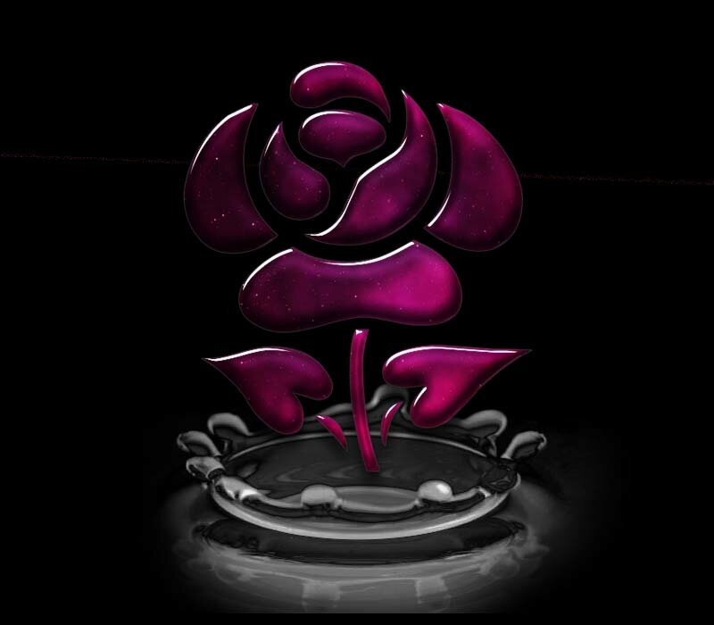 Purple Rose in Water — Dramatic