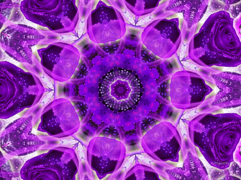 Purple Rose Mandala — Hypnotic