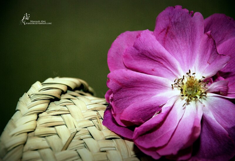 Purple Rose on Basket