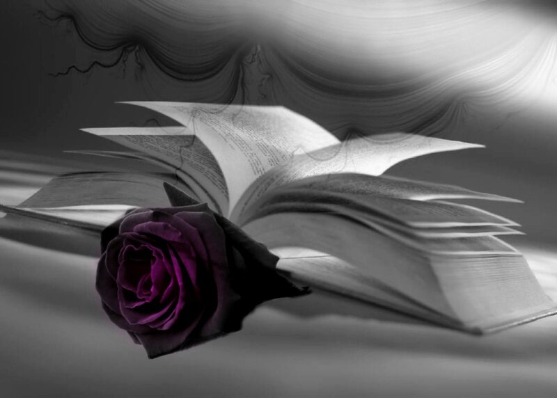 Purple Rose on Book — Black