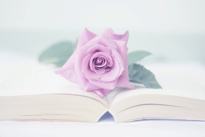 Purple Rose on Book — Pink