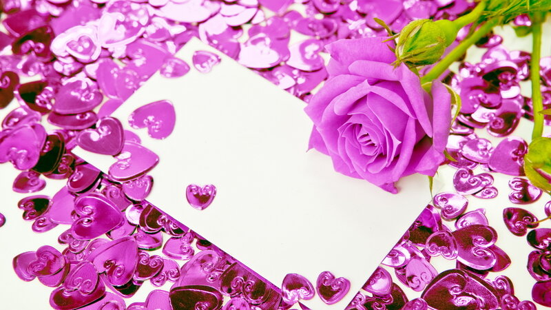 Purple Rose on Confetti
