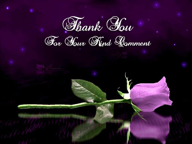 Purple Rose on Dark Surface — Serene