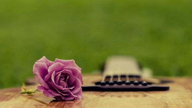 Purple Rose on Guitar — Serene, Photograph, Wooden Surface