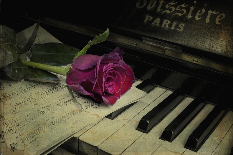Purple Rose on Piano — Dramatic, Photograph