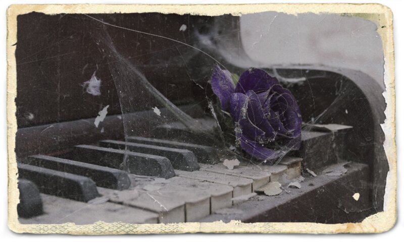 Purple Rose on Piano